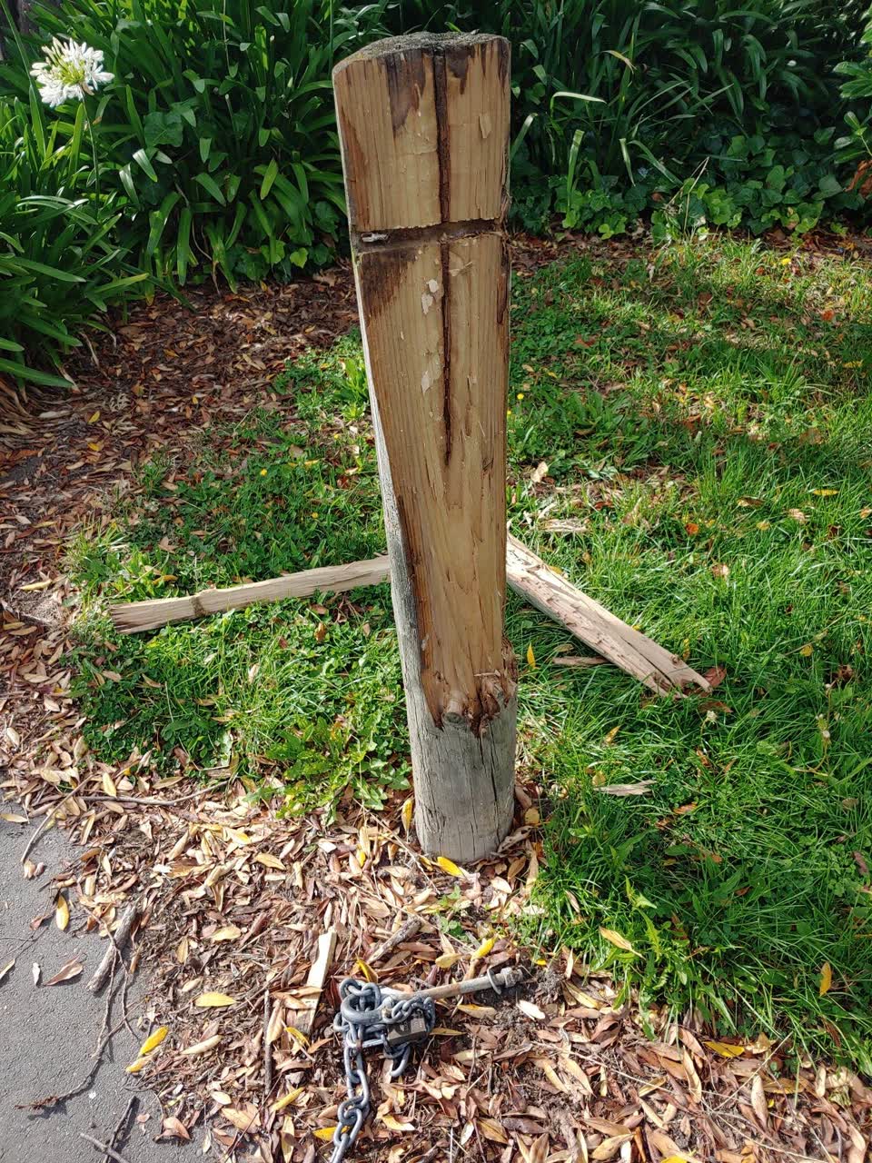 The photograph attached to this parks report