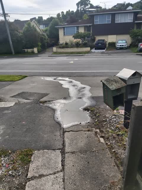 Water Leak, a report photo