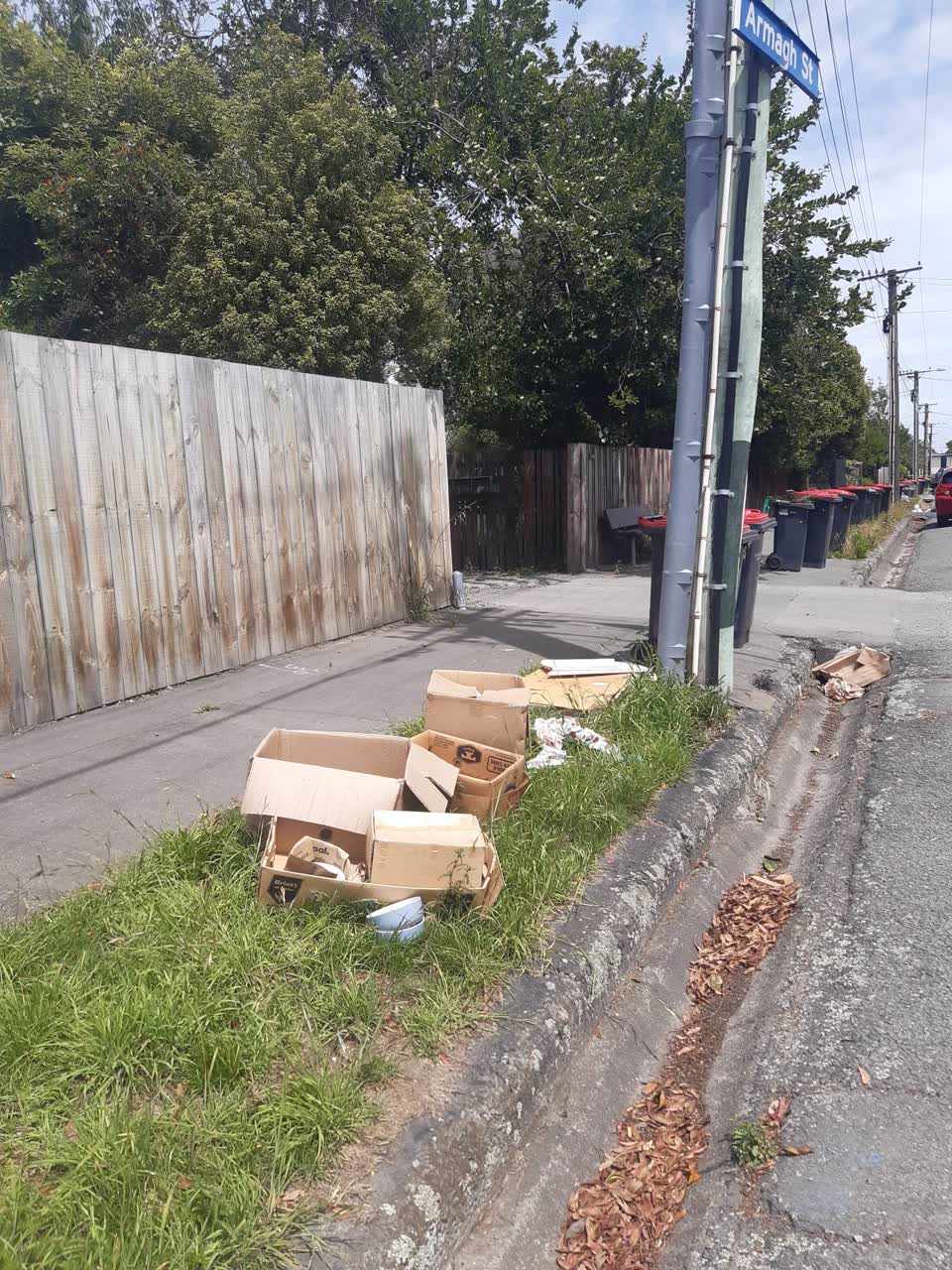 The photograph attached to this rubbish/recycling report