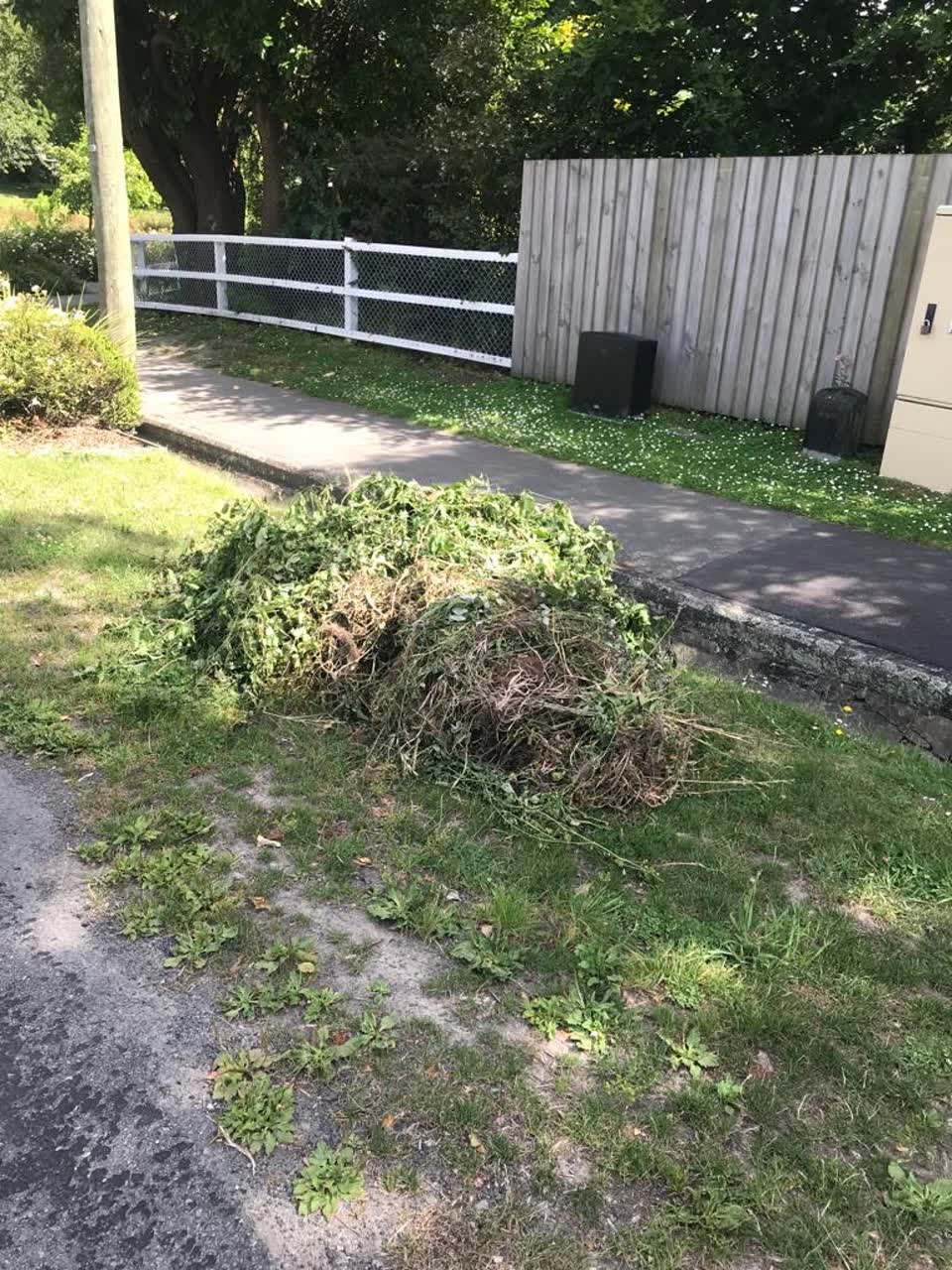 The photograph attached to this rubbish/recycling report