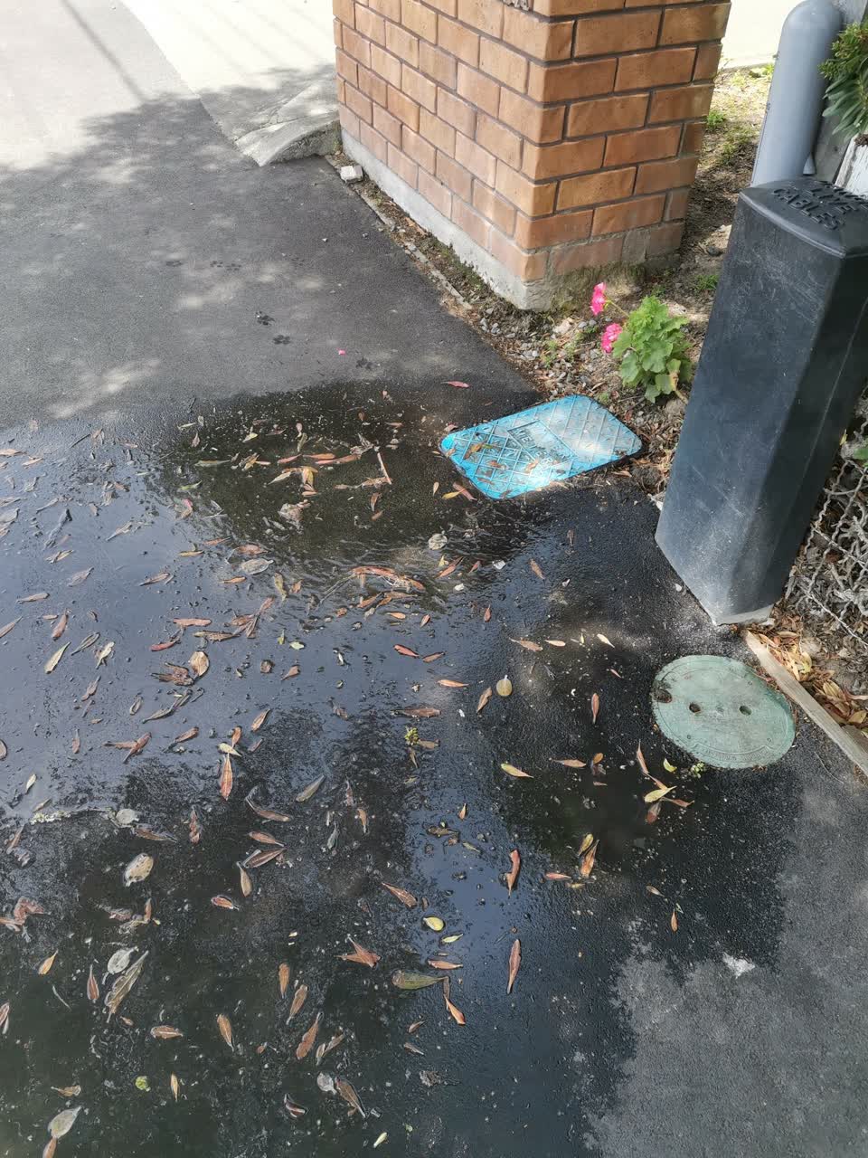 The photograph attached to this water leak report