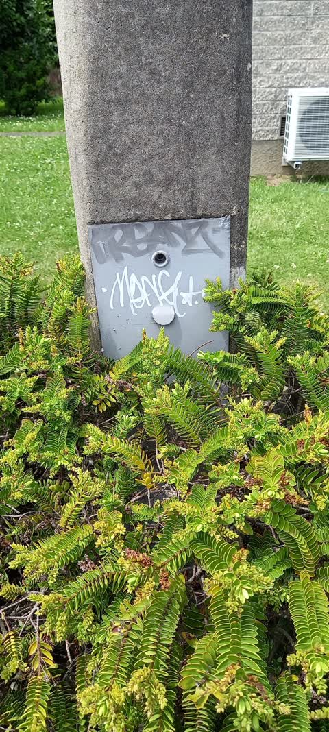 Graffiti, a report photo