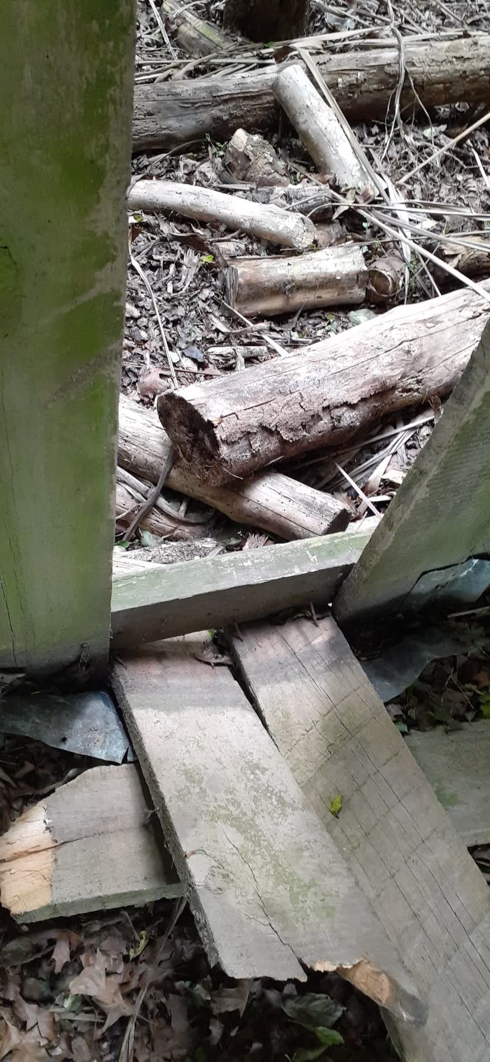 The photograph attached to this parks report