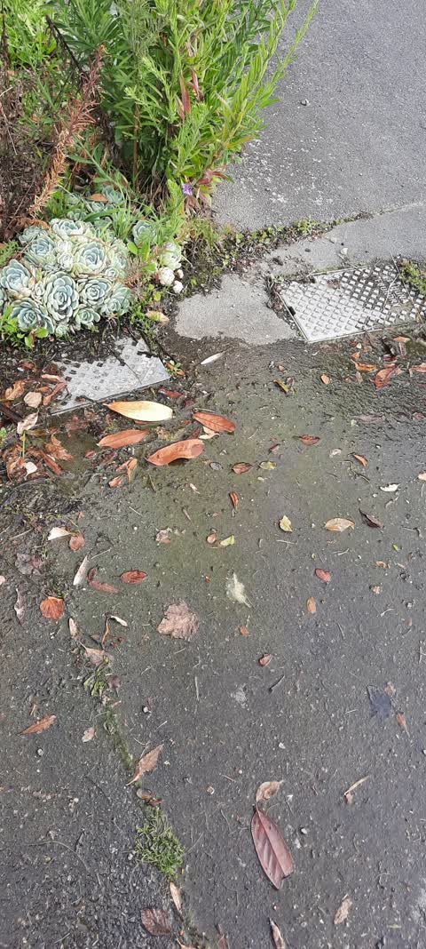 Water Leak, a report photo