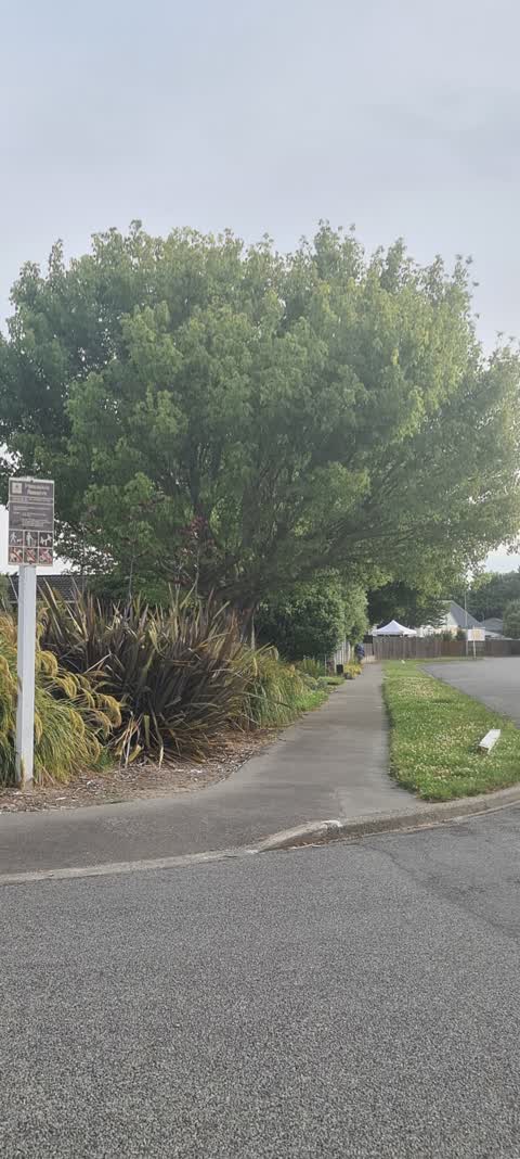 Roading/Streets, a report photo