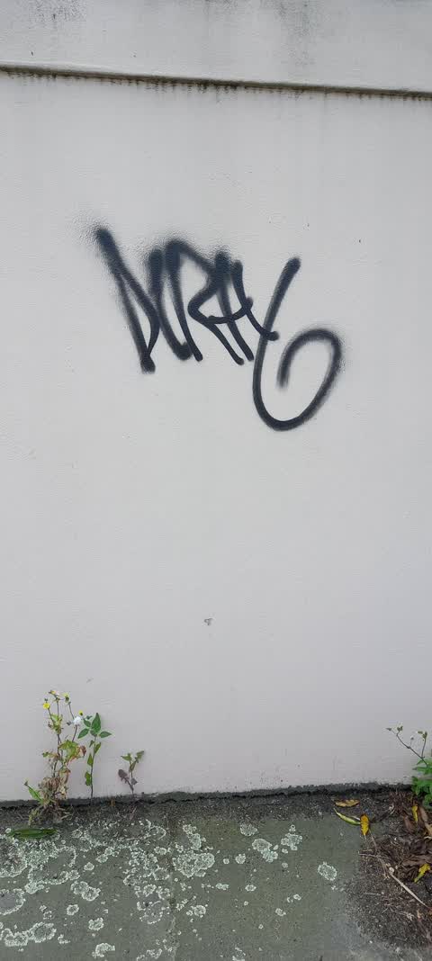 Graffiti, a report photo