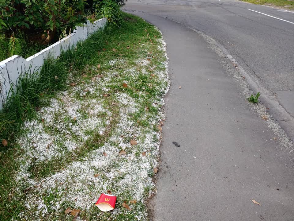 The photograph attached to this roading/streets report