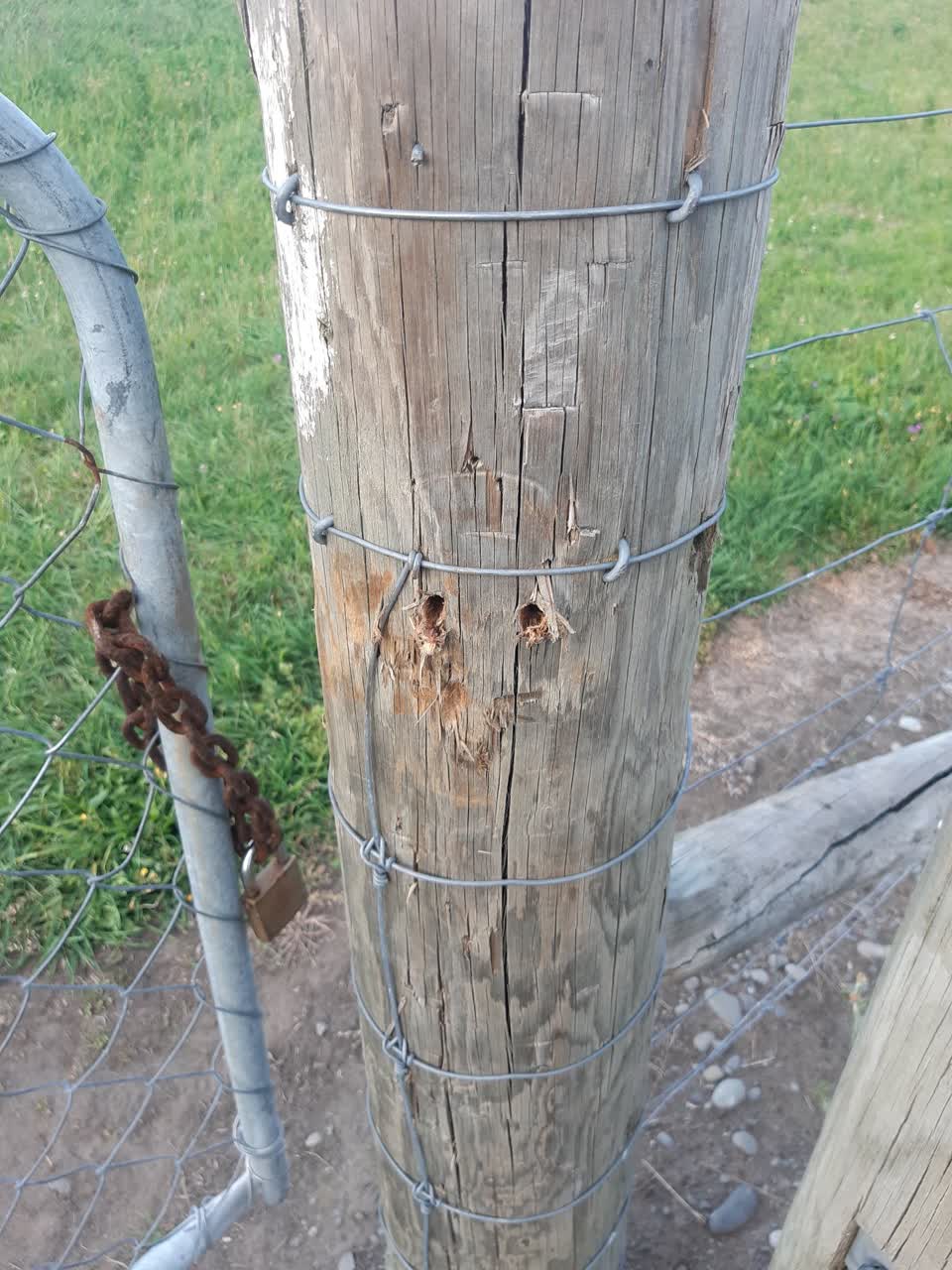 The photograph attached to this parks report