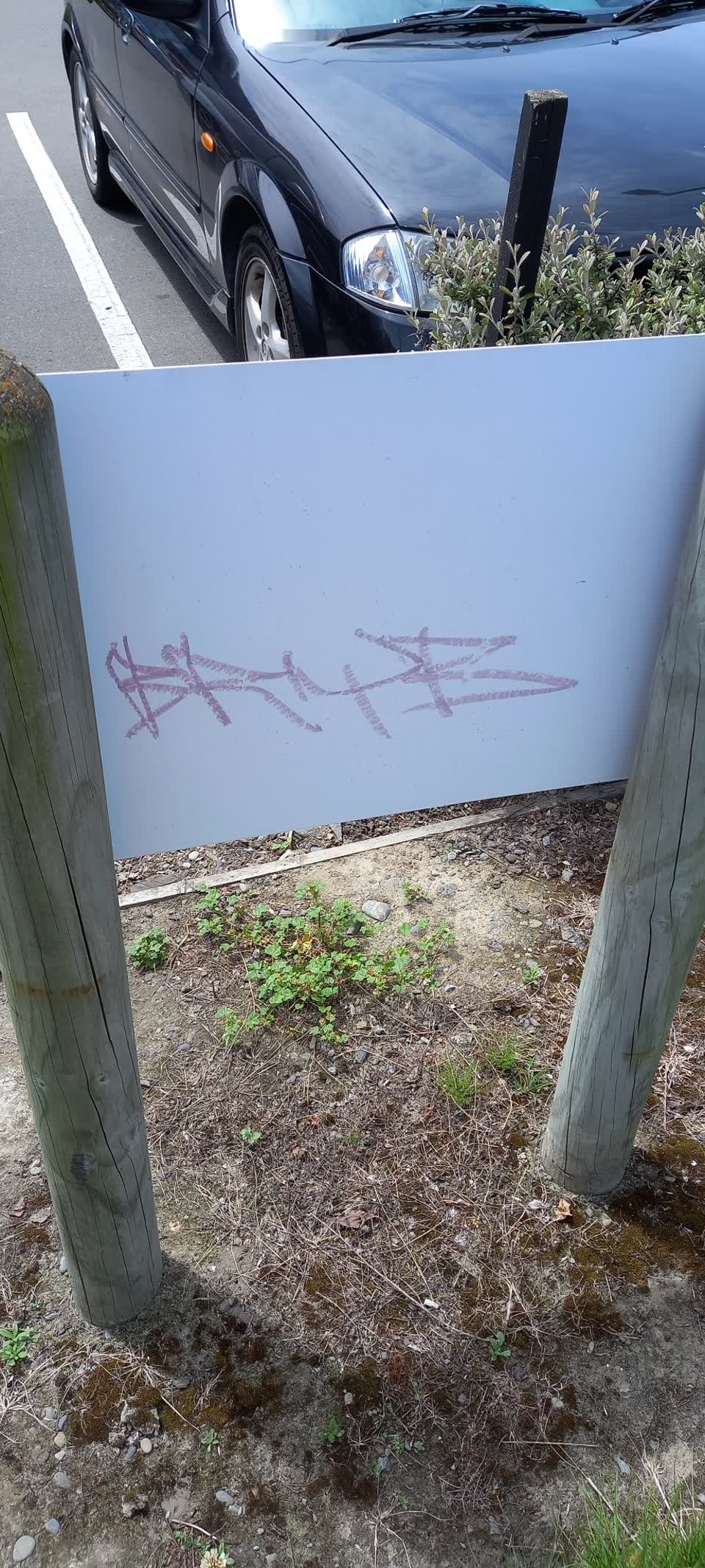 The photograph attached to this graffiti report