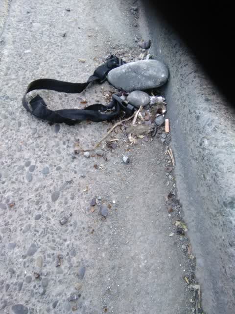Roading/Streets, a report photo