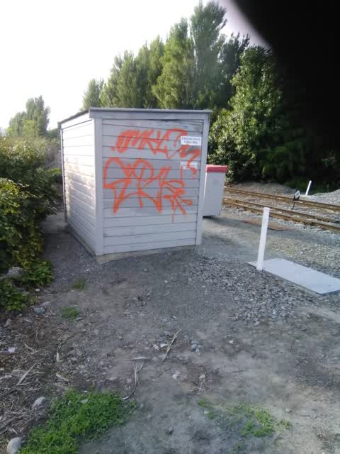 Graffiti, a report photo