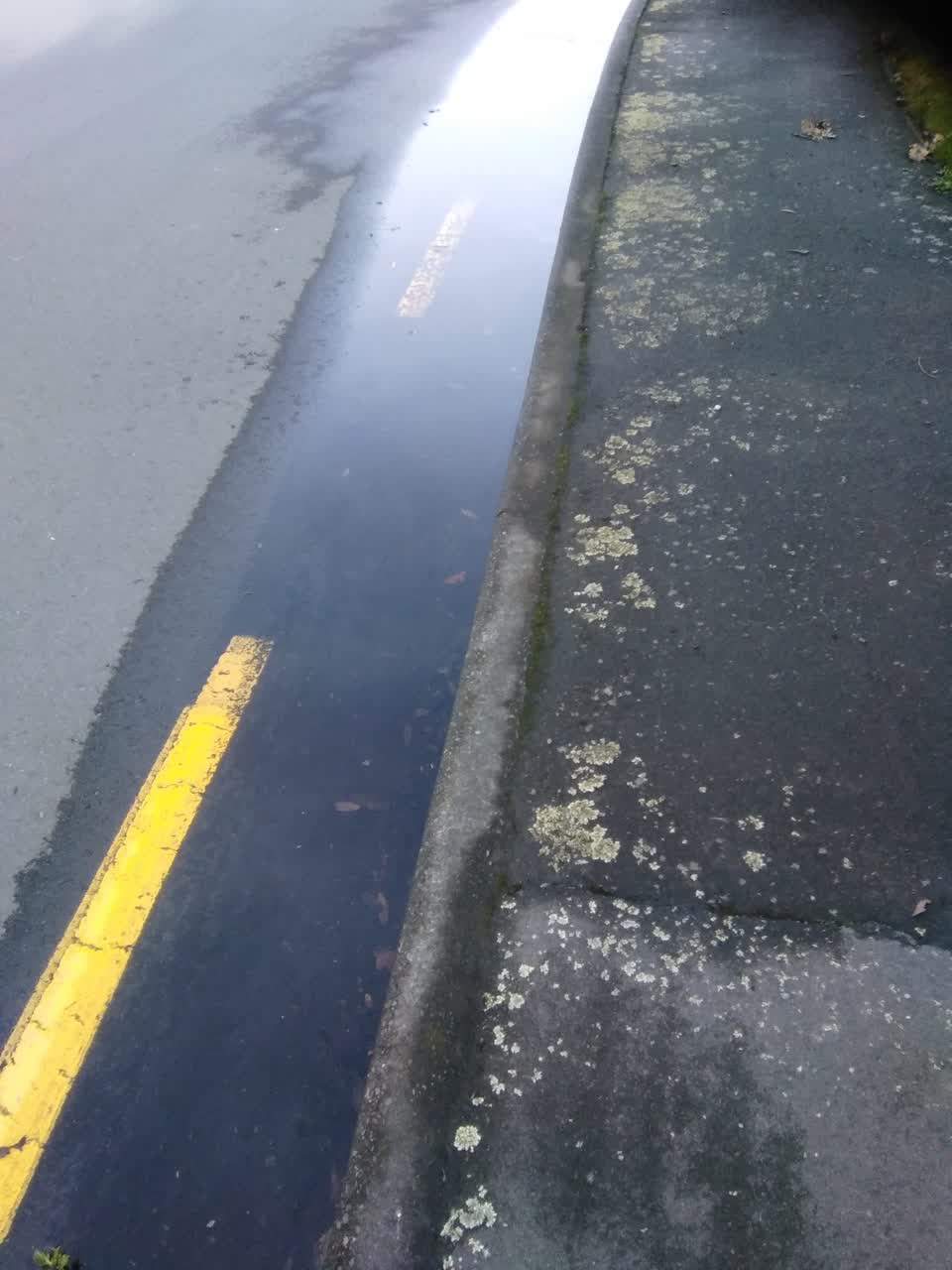 The photograph attached to this wastewater/stormwater report