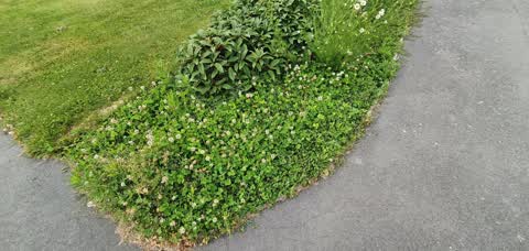 Parks, a report photo