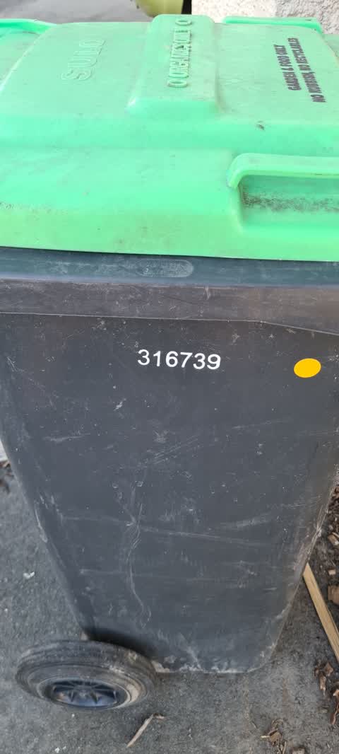 Rubbish/Recycling, a report photo