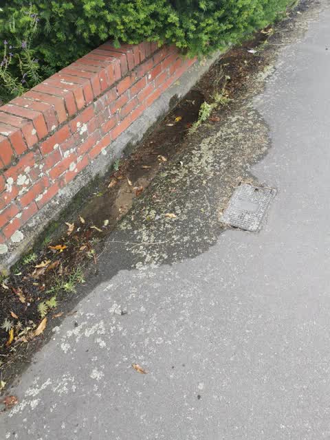 Water Leak, a report photo