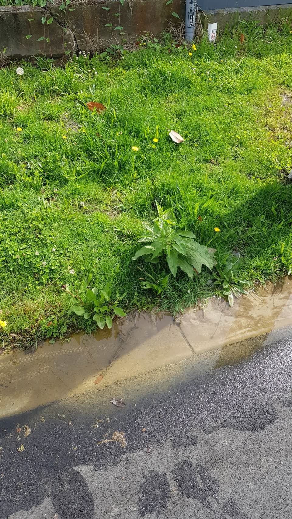 The photograph attached to this water leak report