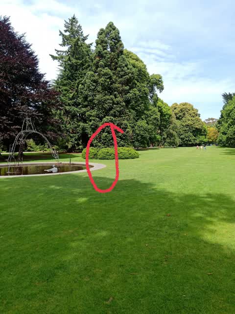 General Request — a report photo