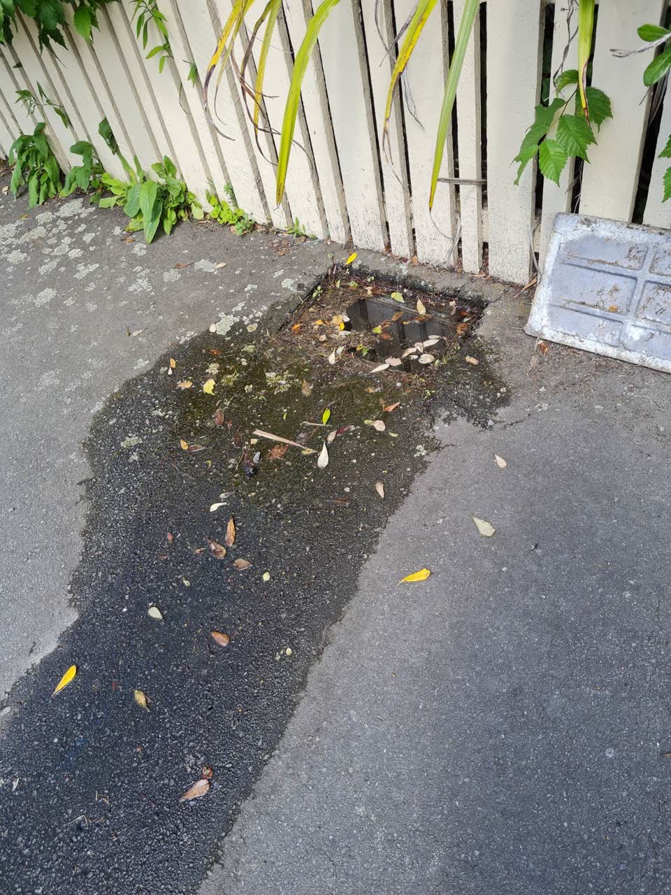 The photograph attached to this water leak report