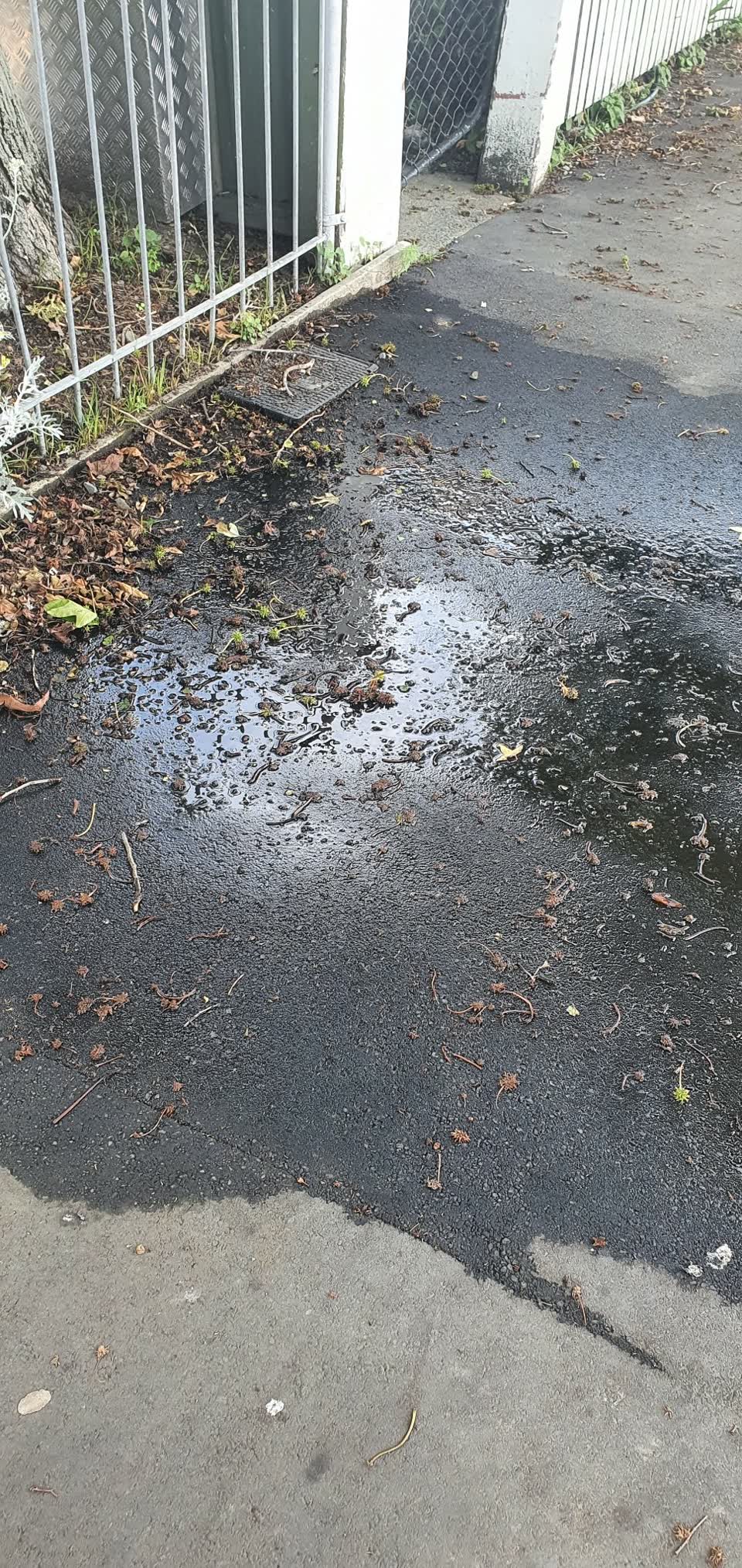 The photograph attached to this water leak report