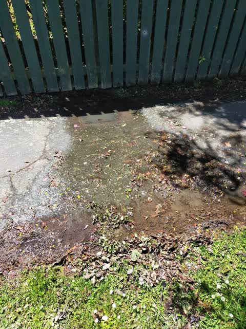 Water Leak, a report photo