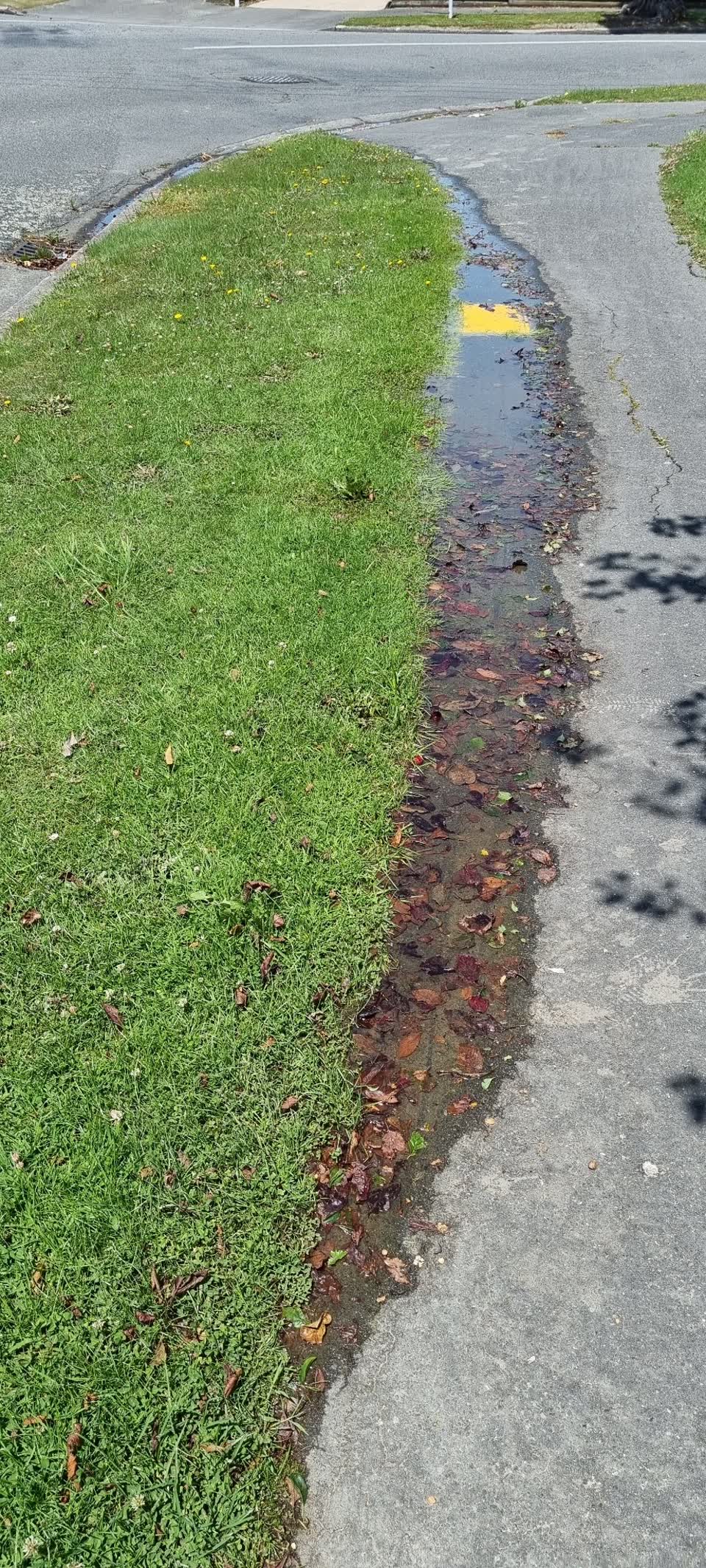 The photograph attached to this water leak report