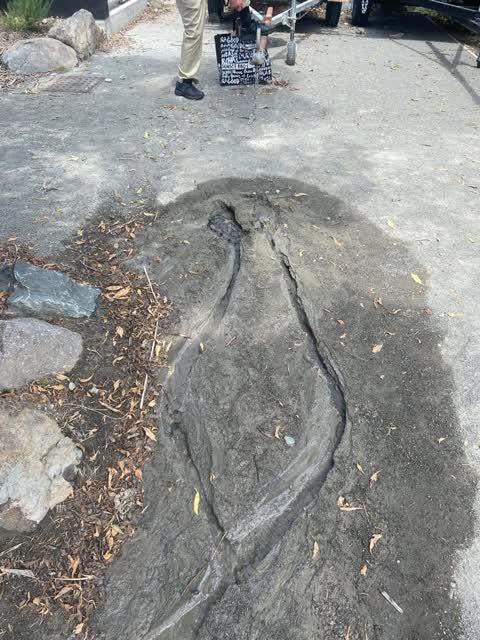 Water Leak, a report photo