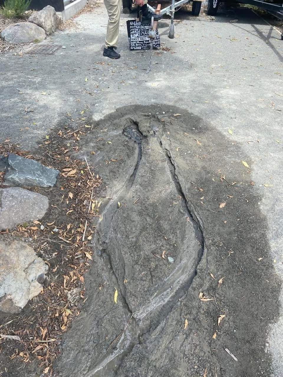 The photograph attached to this water leak report