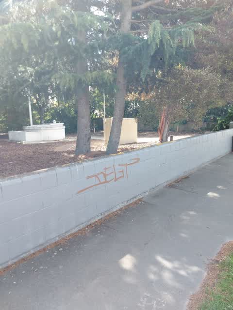 Graffiti, a report photo