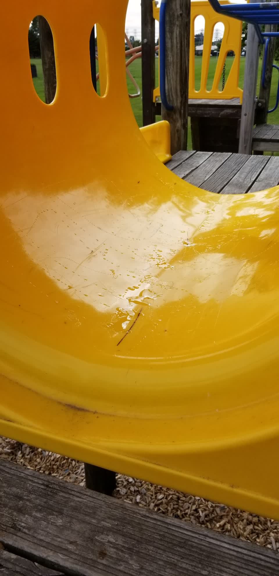 The photograph attached to this parks report