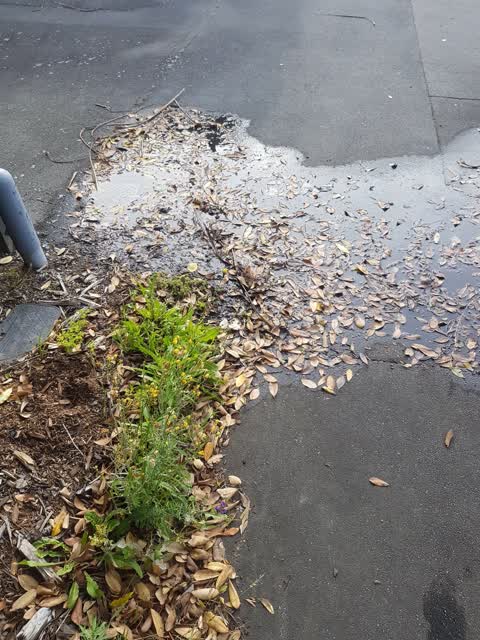 Water Leak, a report photo