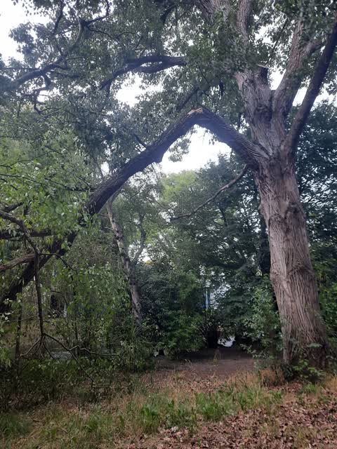 Parks, a report photo