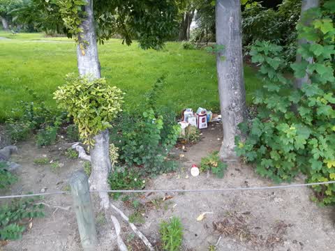 Rubbish/Recycling, a report photo