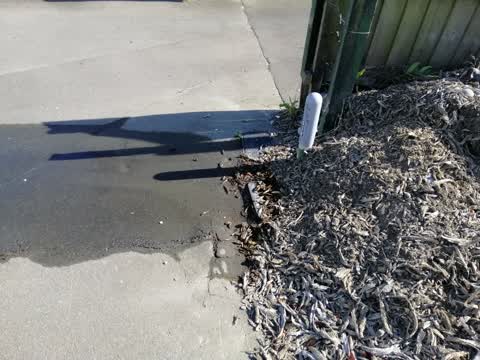 Water Supply, a report photo