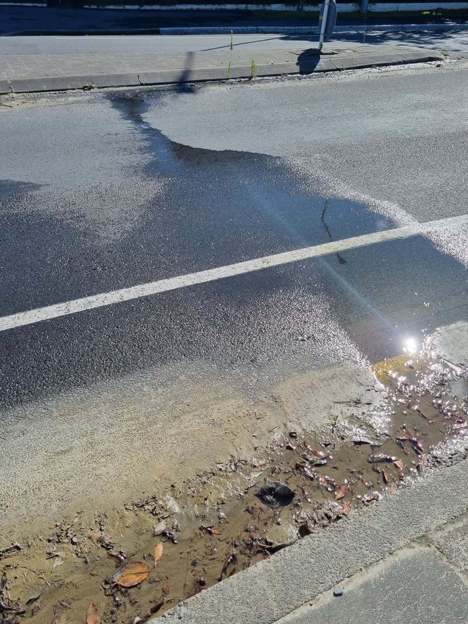 The photograph attached to this water leak report