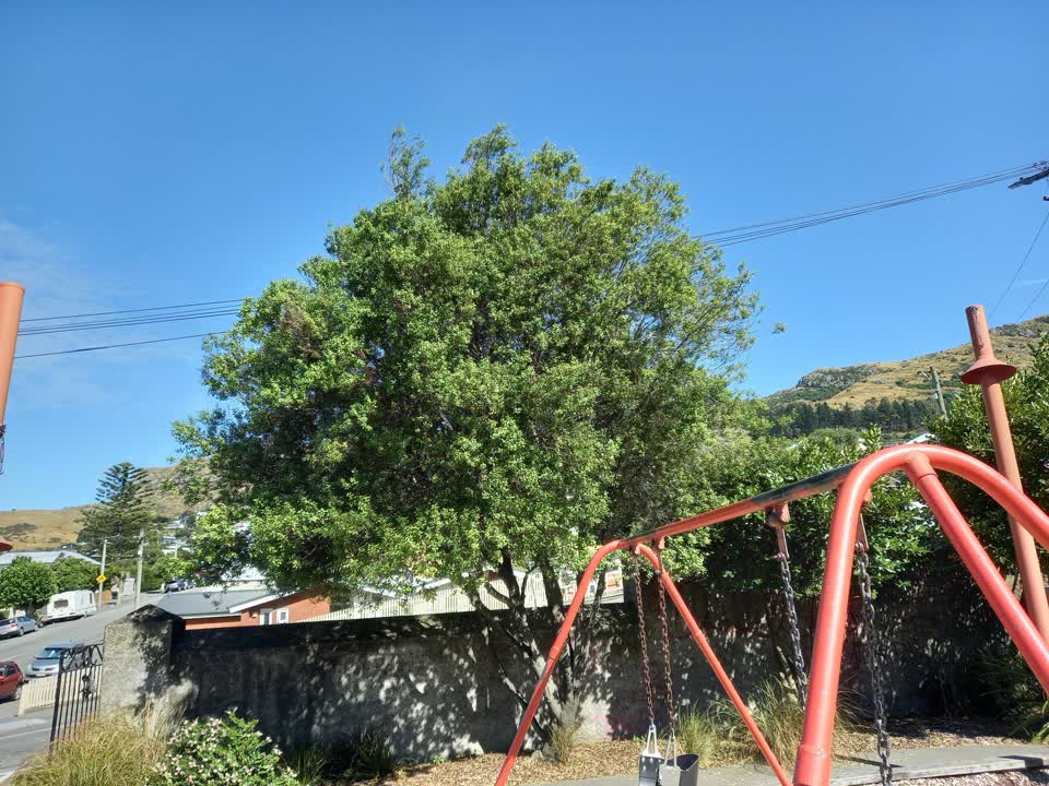 The photograph attached to this parks report