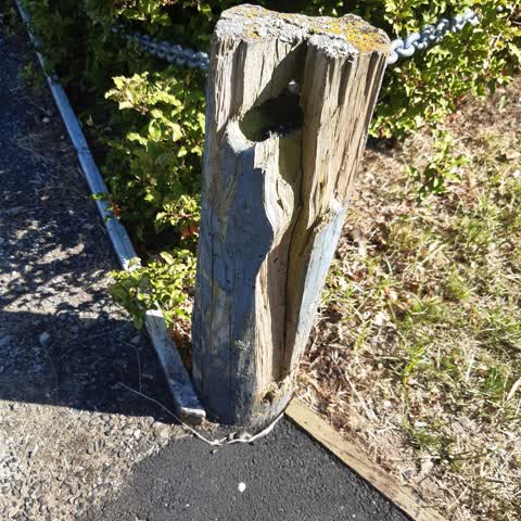 Parks, a report photo