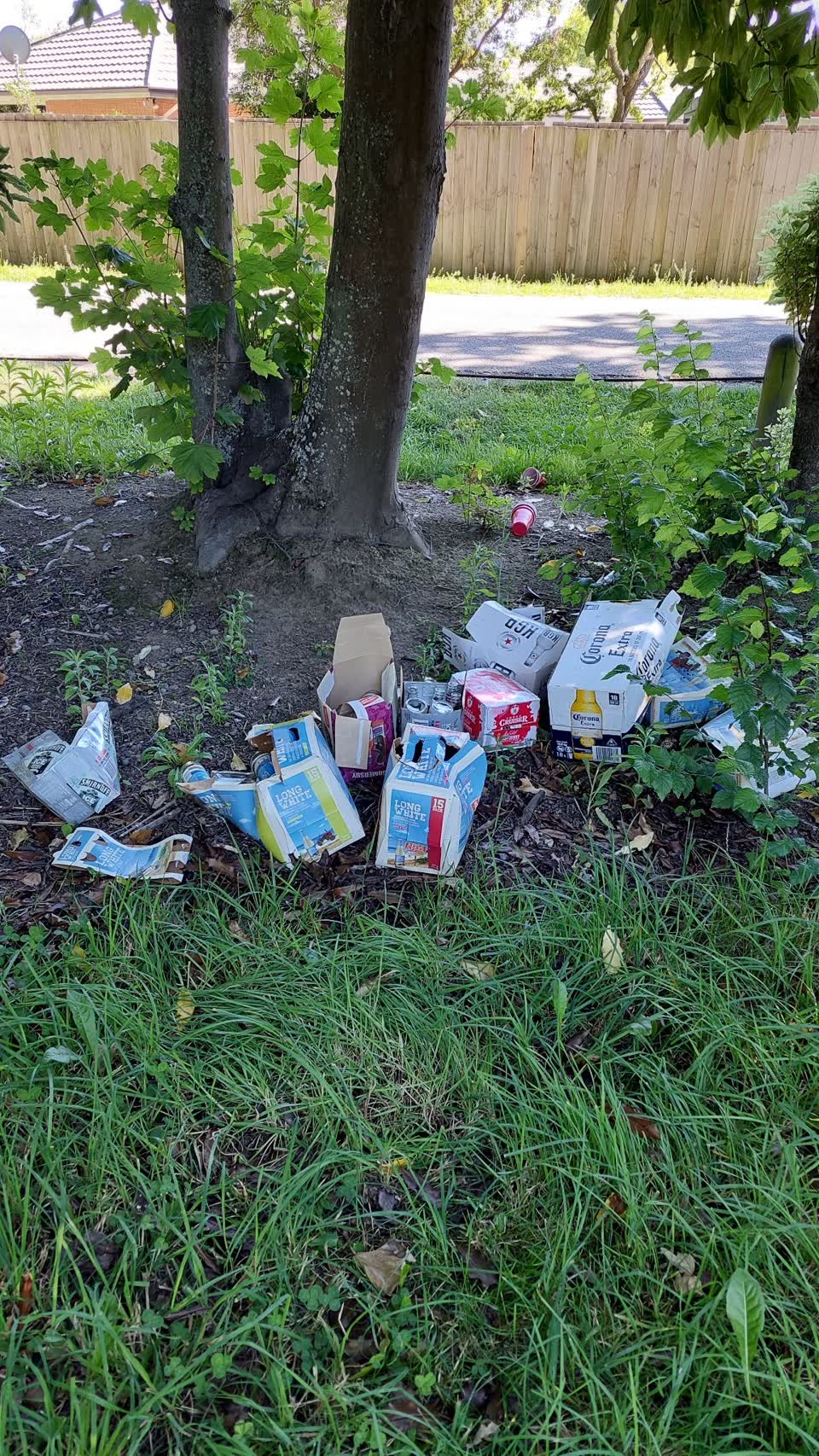The photograph attached to this rubbish/recycling report