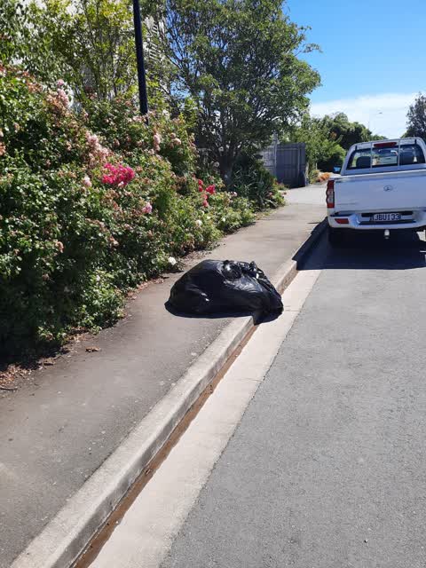 Rubbish/Recycling, a report photo