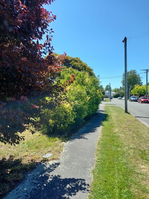 Roading/Streets, a report photo