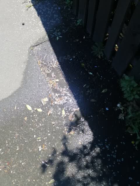 Water Leak, a report photo