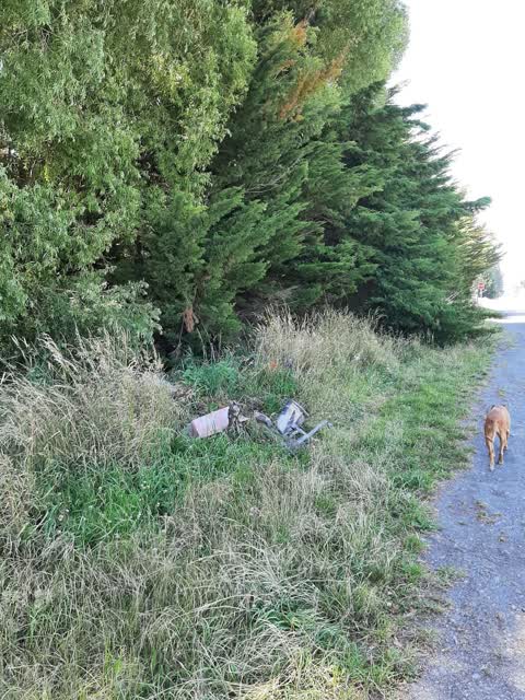 Rubbish/Recycling, a report photo