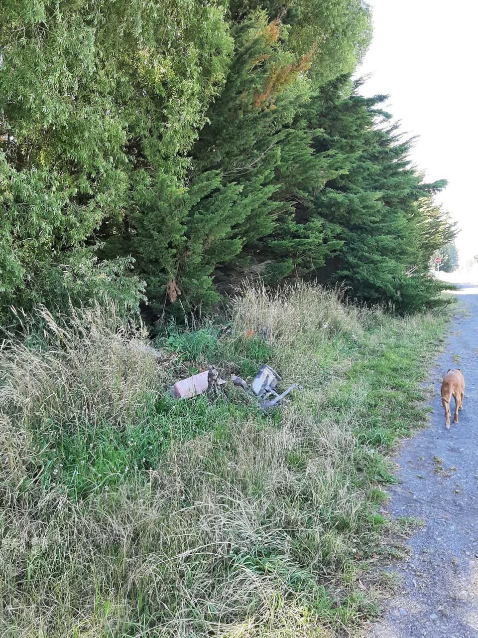 The photograph attached to this rubbish/recycling report