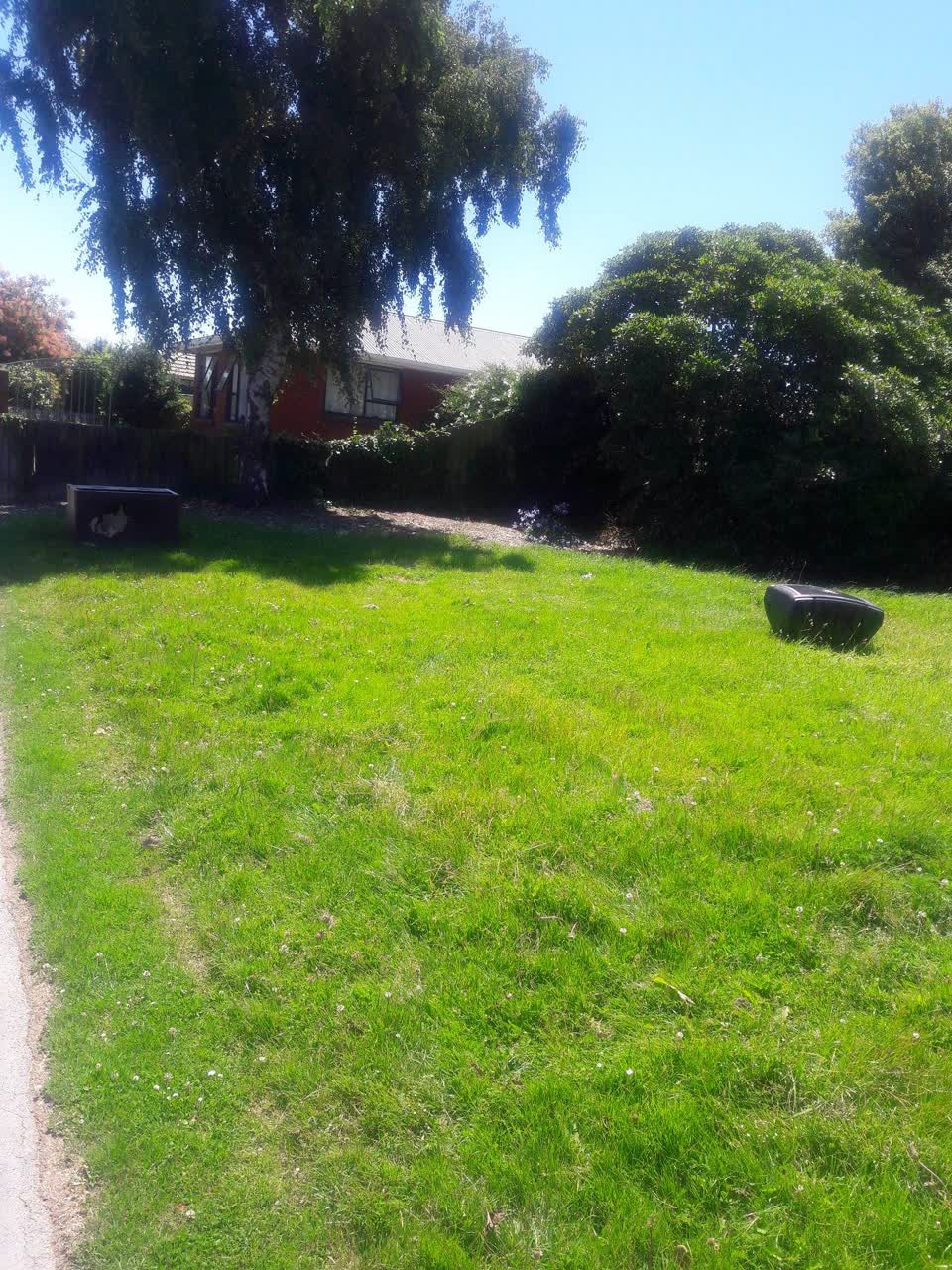 The photograph attached to this parks report