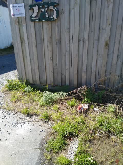 Water Leak — a report photo