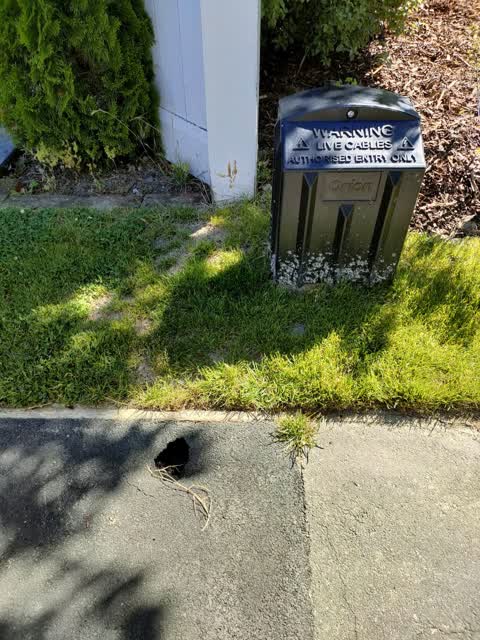 Roading/Streets, a report photo