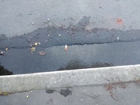 Flooding, a report photo