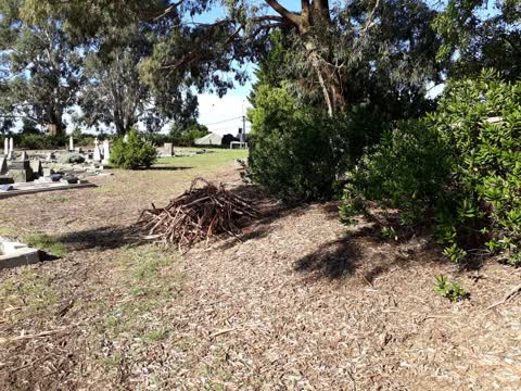 Rubbish/Recycling, a report photo