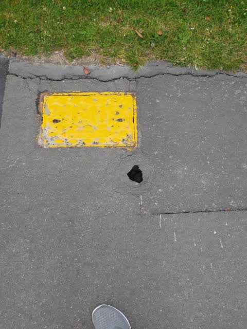 Roading/Streets, a report photo