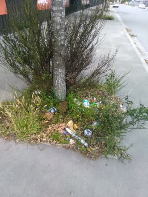 Rubbish/Recycling, a report photo