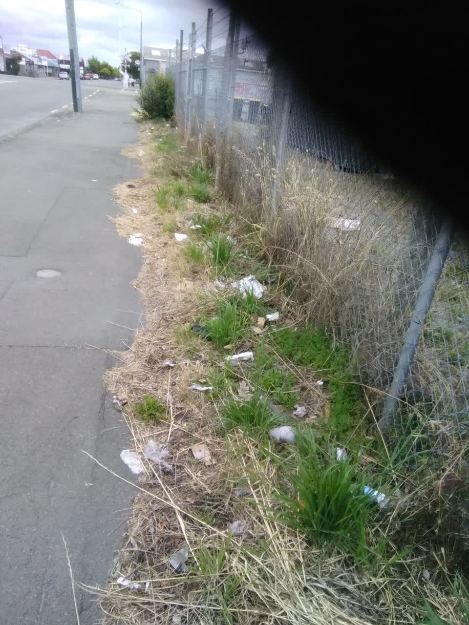 The photograph attached to this rubbish/recycling report